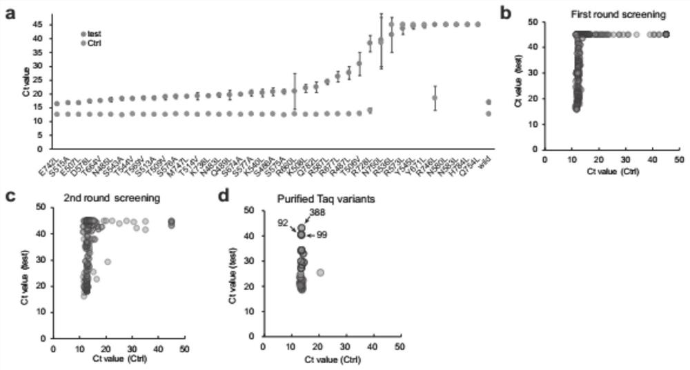 High-specificity Taq DNA polymerase variantS and application thereof in genome editing and gene mutation detection