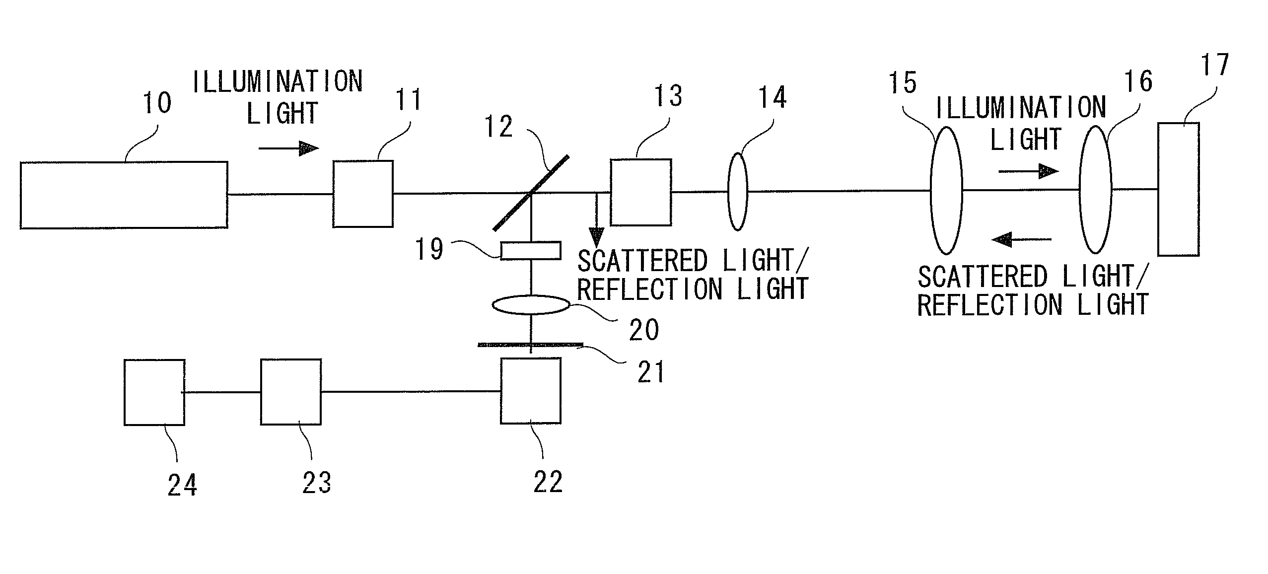 Microscope and observation method