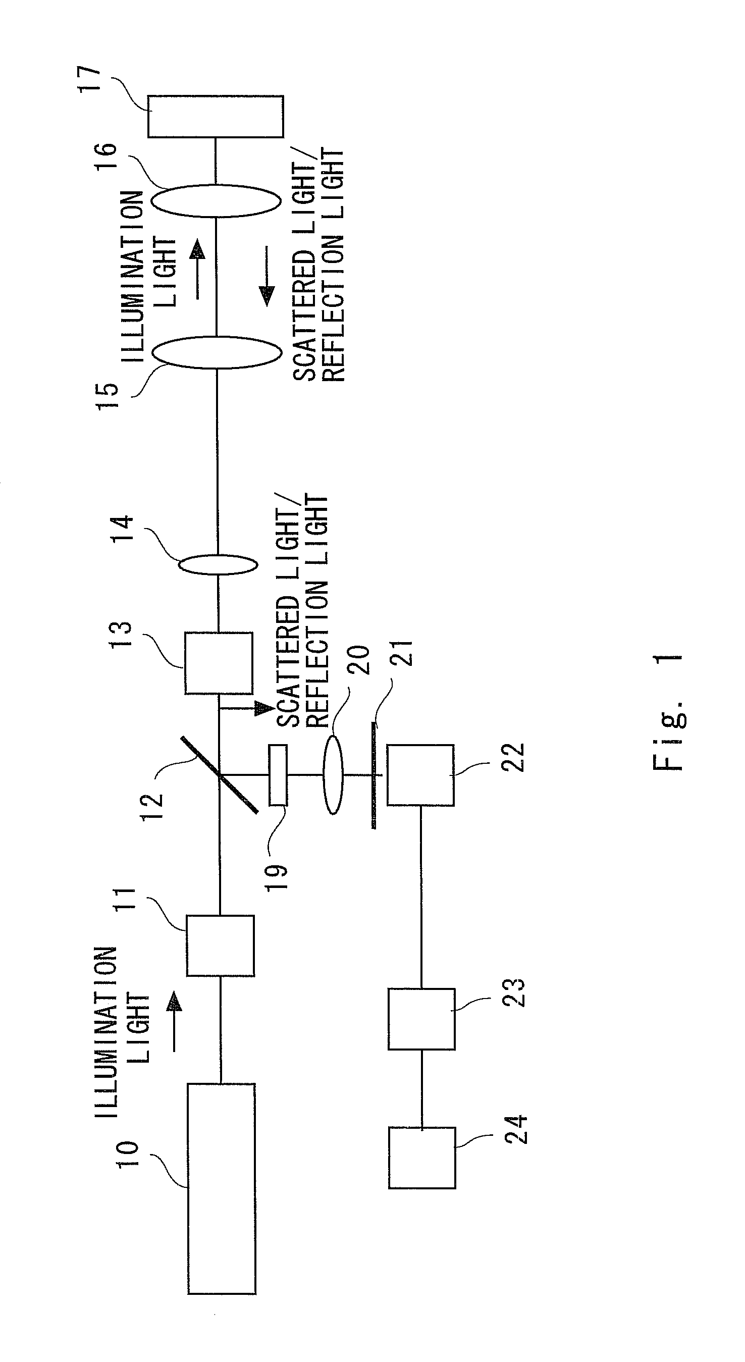 Microscope and observation method