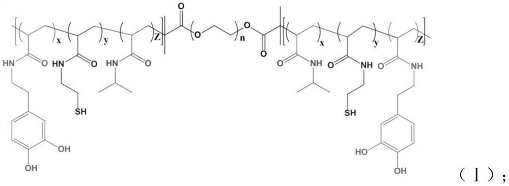 CsA carried hydrogel for burn wound healing, and preparation method thereof