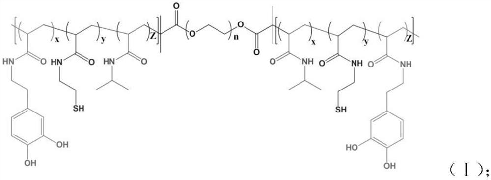 CsA carried hydrogel for burn wound healing, and preparation method thereof