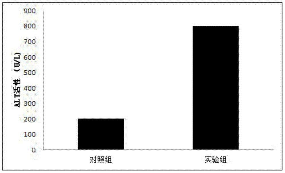 Method for establishing acute viral hepatitis animal model