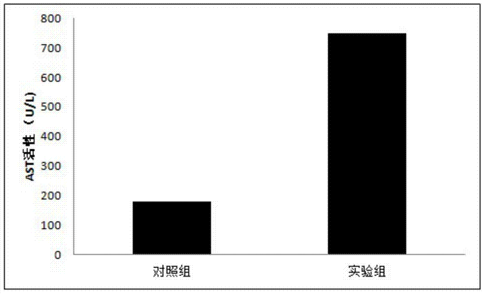 Method for establishing acute viral hepatitis animal model