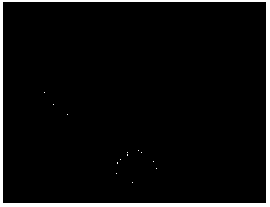 Method and system for tracking human skeleton points in two-dimensional video stream