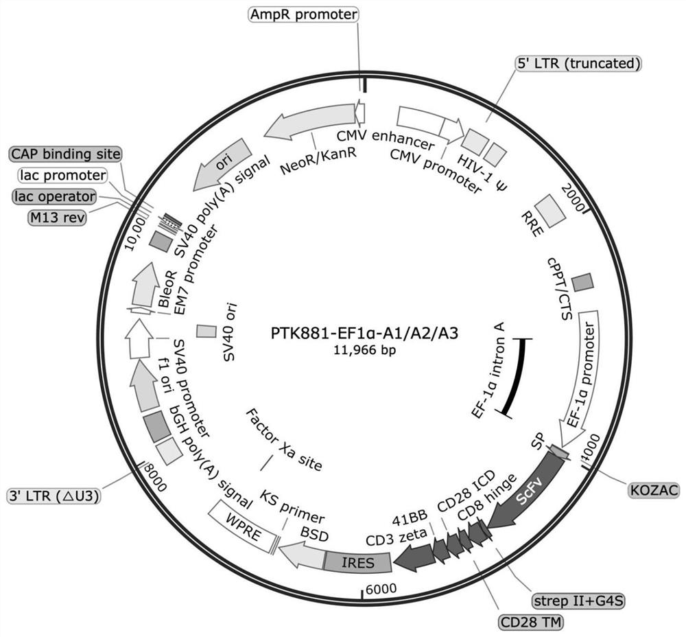 Chimeric antigen receptor combined anti-tumor medicine composition and application thereof