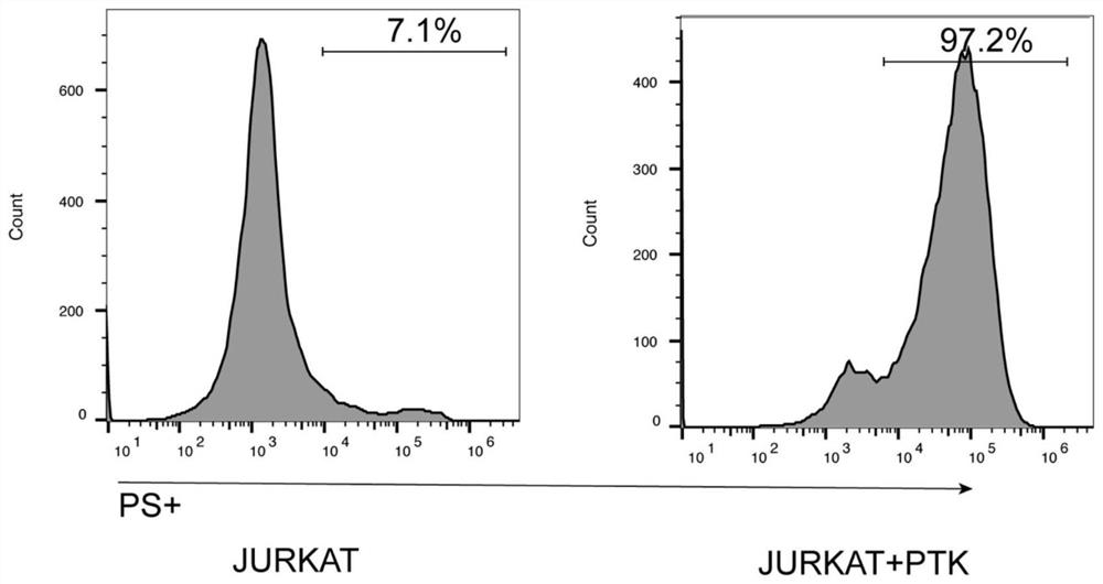 Chimeric antigen receptor combined anti-tumor medicine composition and application thereof