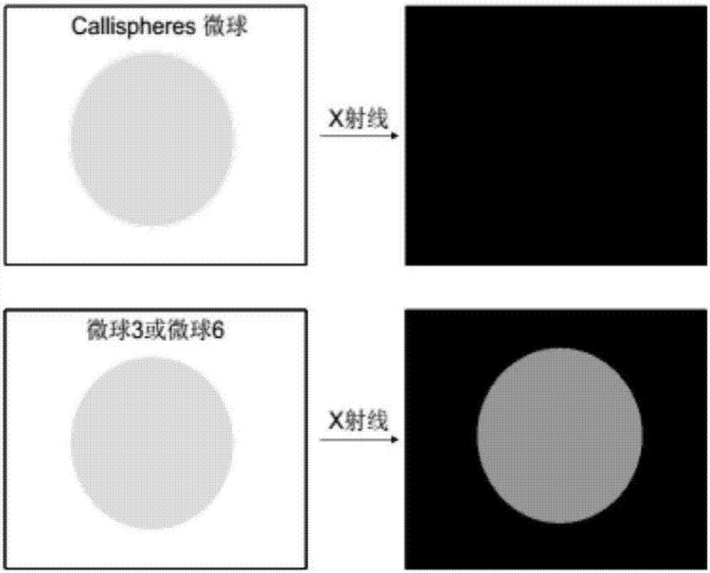 Visual polyhydroxy polymer embolism microsphere and preparation method thereof