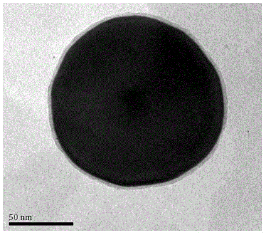 Method for synthesizing shell isolation silver nanoparticles