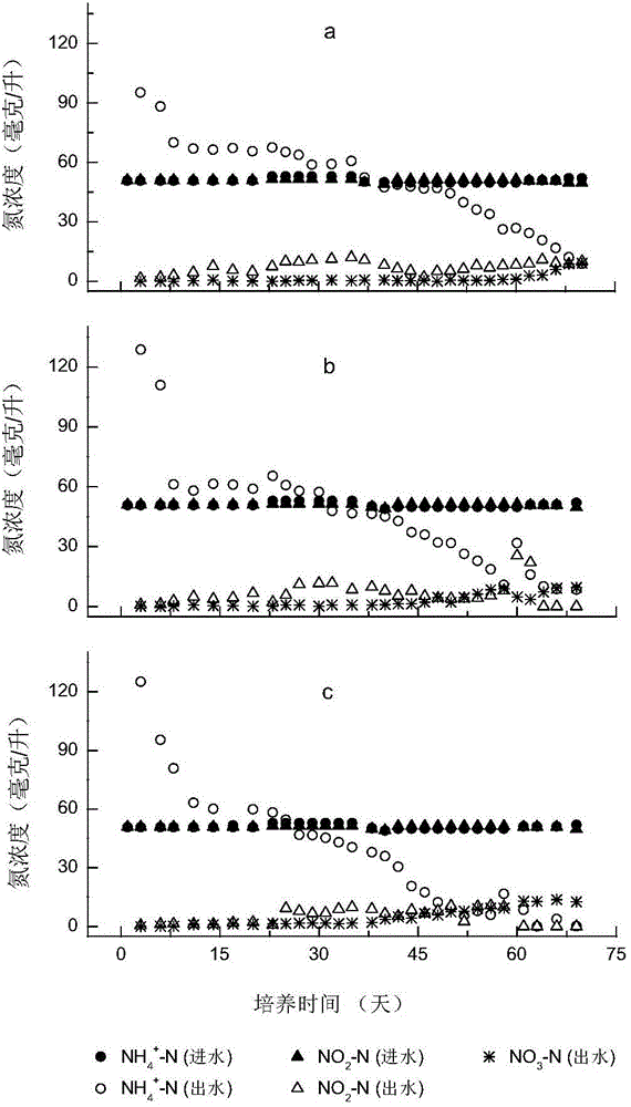 Method for quickly starting anaerobic ammoxidation reactor