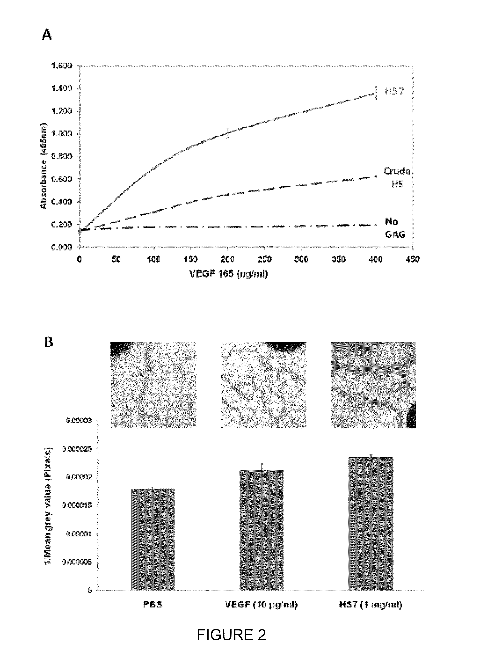 Glycosaminoglycans