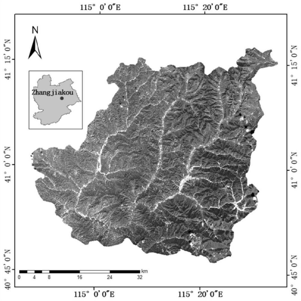 Vegetation classification and biomass inversion method based on remote sensing data