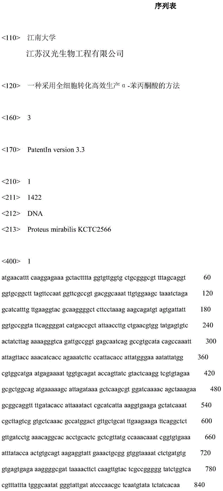 Method for adopting whole-cell conversion to efficiently produce alpha-phenylpyruvic acid