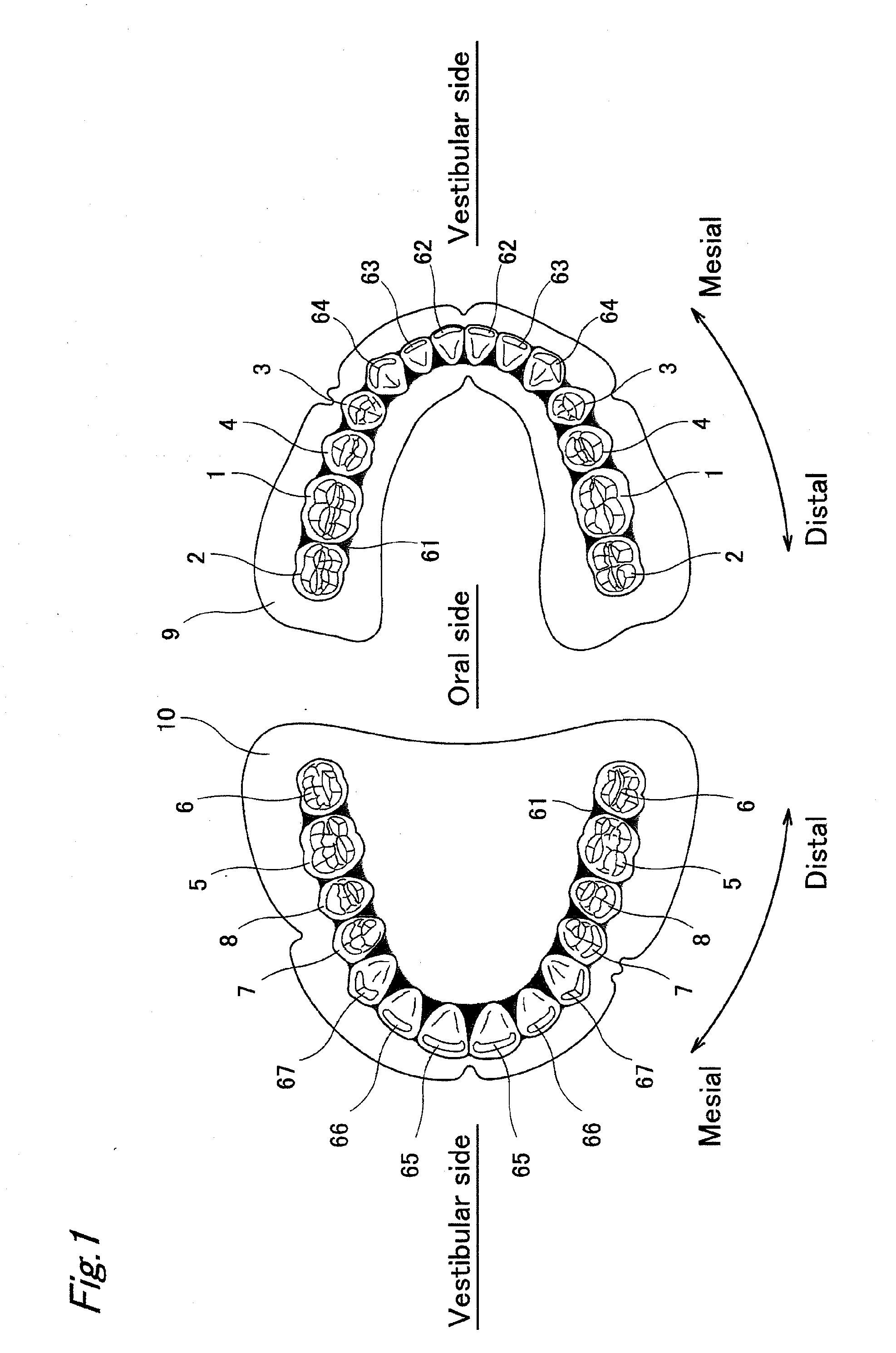 Artificial teeth