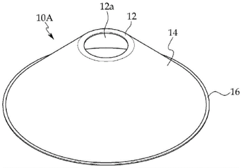 Reinforcing member for punching resistance and construction method