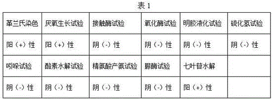 Application of lactobacillus pentosus SS6 to producing gamma-aminobutyric acid