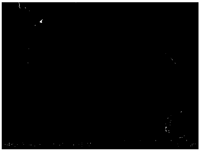 Boehmite covered graphite composite negative electrode material as well as preparation method and application thereof