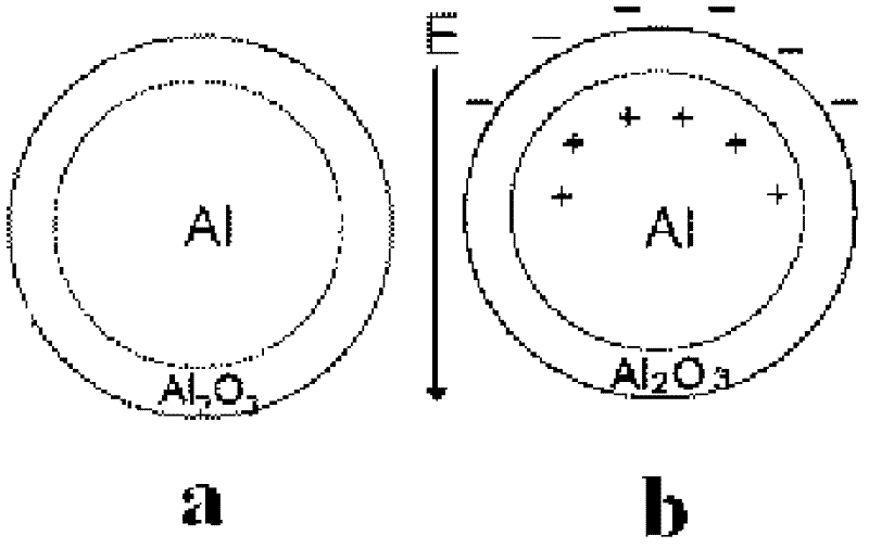 Polymer dielectric substance and preparation method thereof