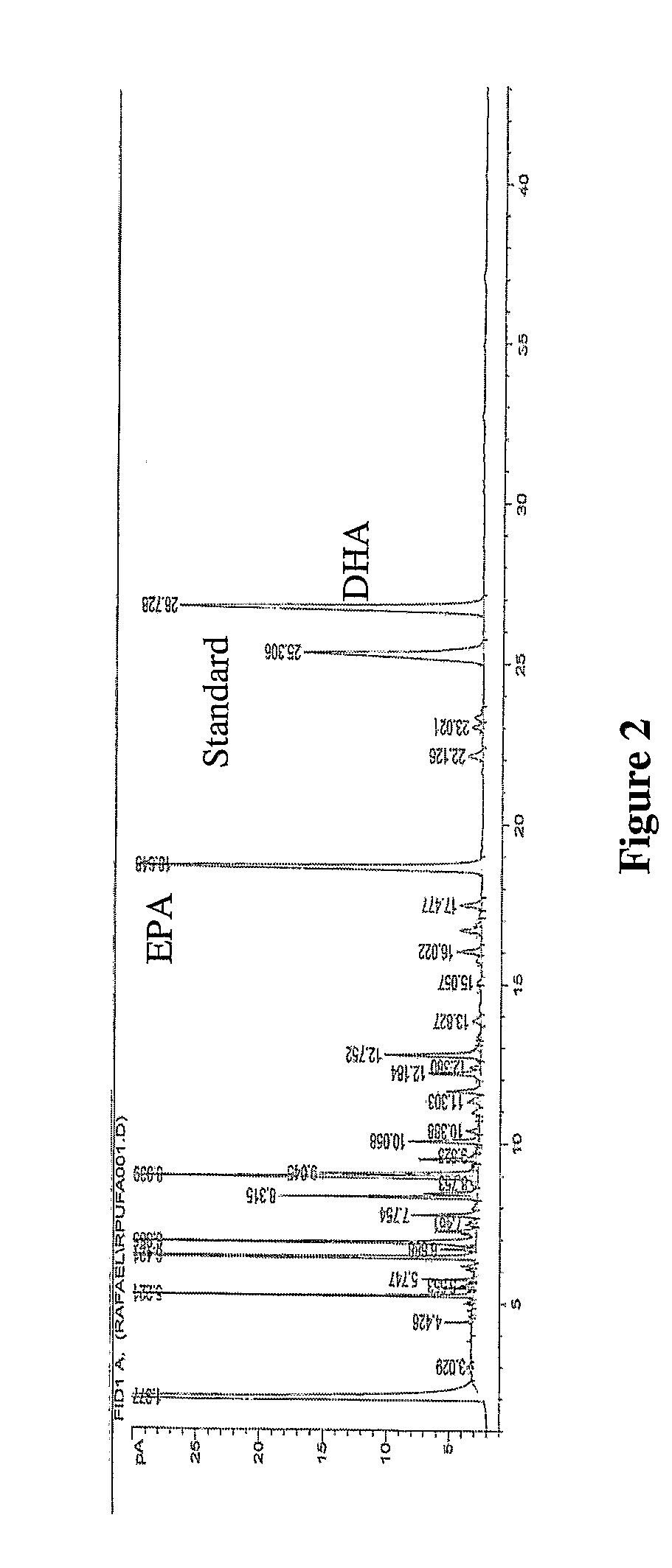 Omega Fatty Acid Fortified Food Products And Methods For Preparing Same