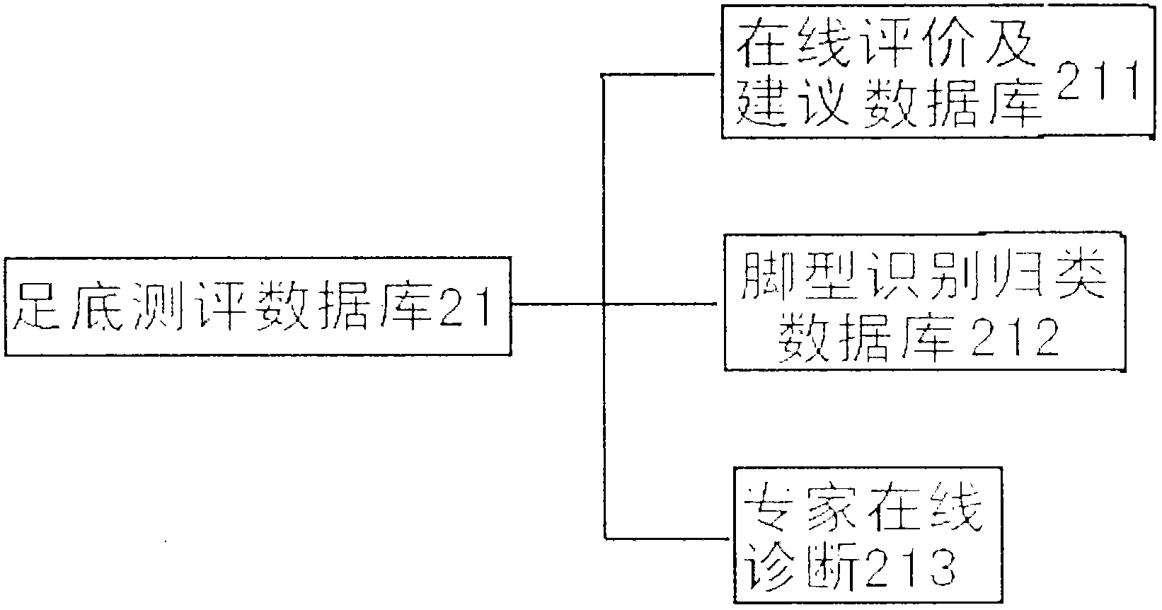 Plantar on-line testing system