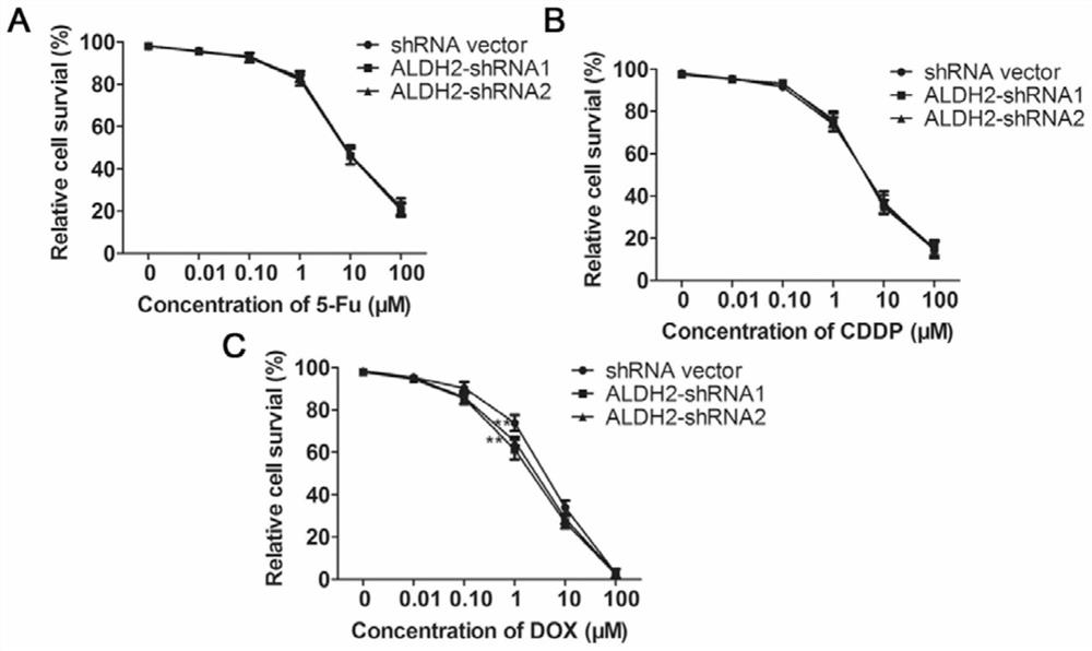 New application of aldehyde dehydrogenase 2 gene