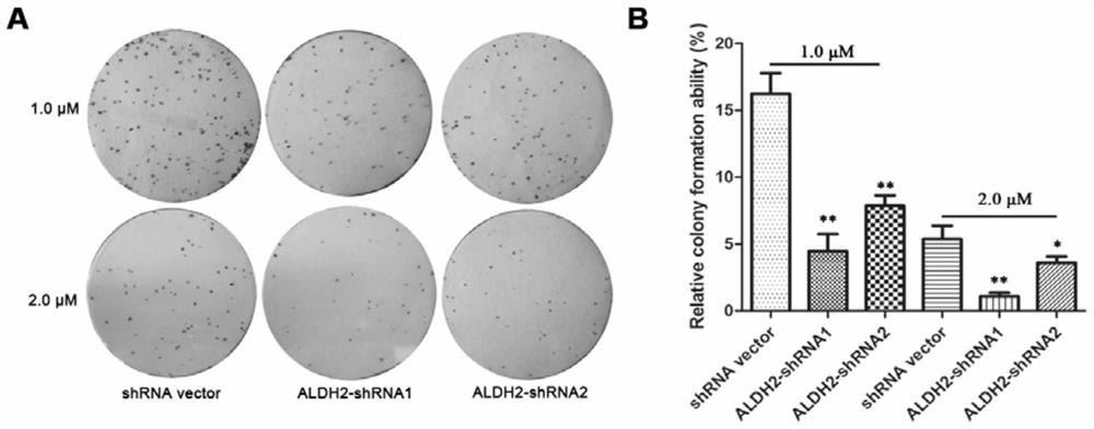 New application of aldehyde dehydrogenase 2 gene