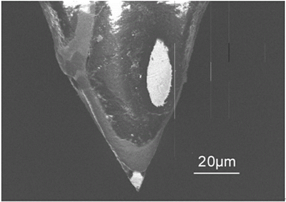 Compound microprobe for in-situ measurement of STM image and chloride ion concentration distribution and preparation method thereof