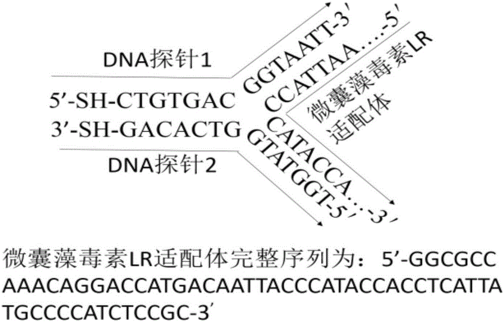 SPR sensor for detecting microcystic toxin based on nucleic acid aptamer signal amplification strategy and preparation method and application thereof