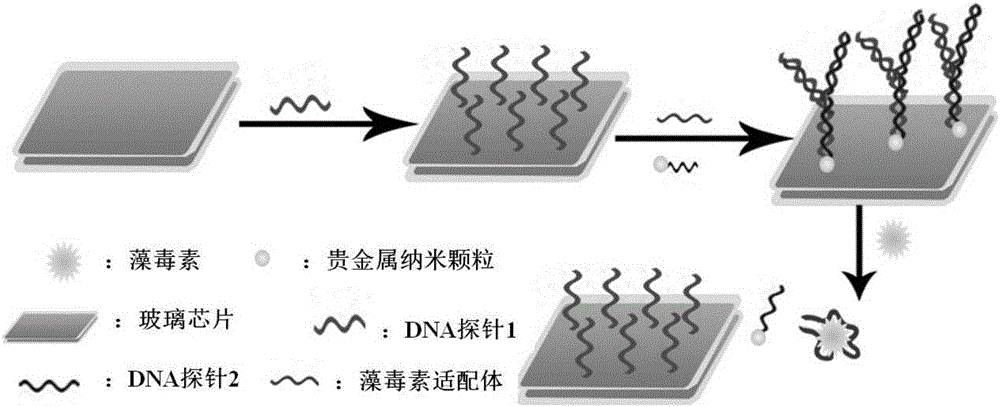 SPR sensor for detecting microcystic toxin based on nucleic acid aptamer signal amplification strategy and preparation method and application thereof