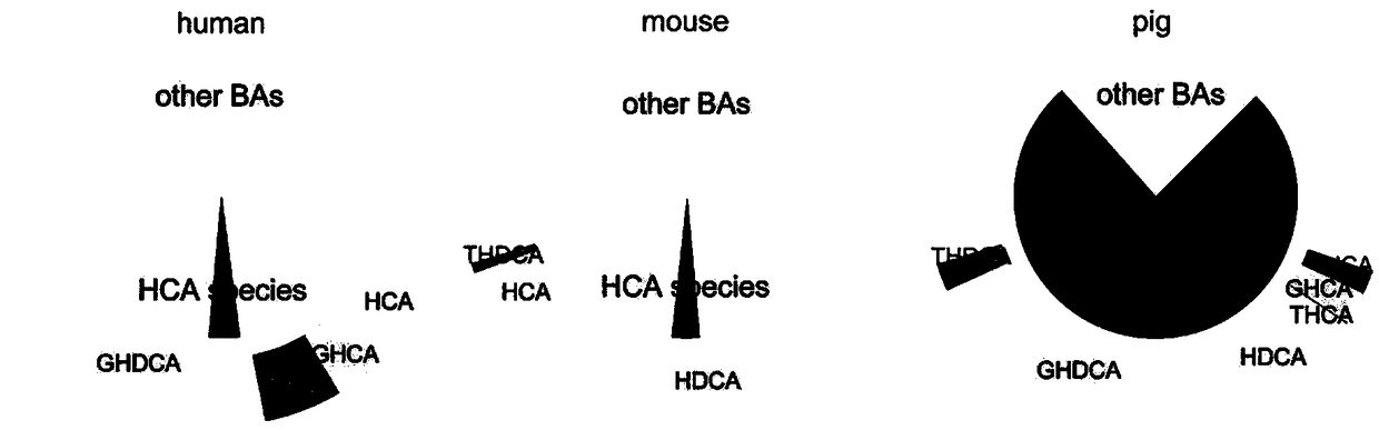 Composition for predicting and curing treating type 2 diabetes mellitus, evaluation method and preparation of composition for predicting and treating type 2 diabetes mellitus