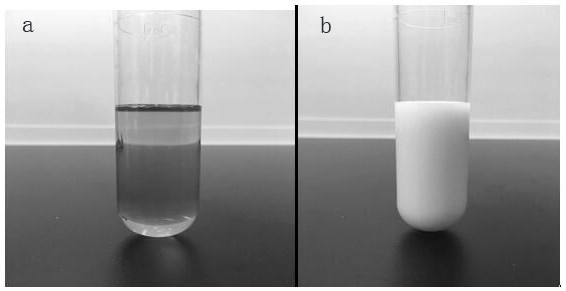 A kind of food-grade water-soluble dry anti-wear chain road lubricant and preparation method thereof