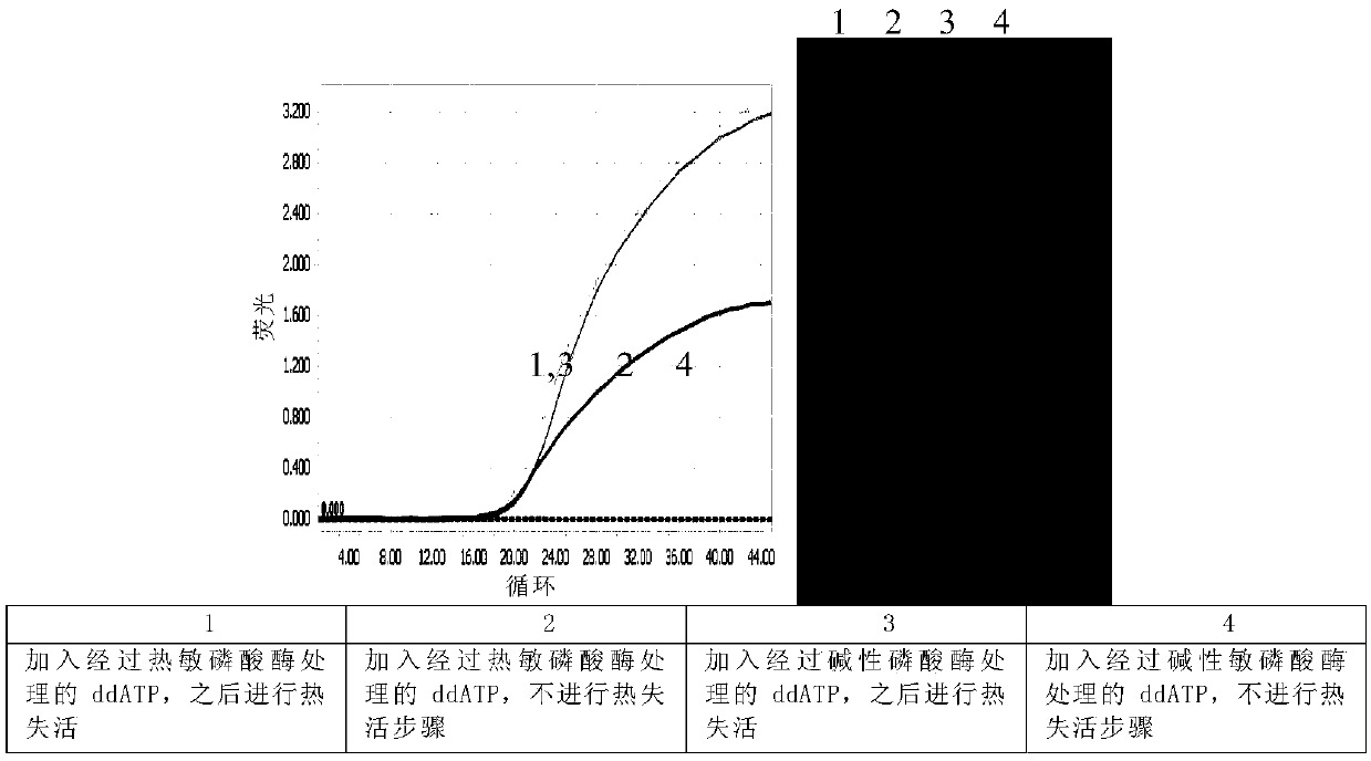 Preparation method and application of oligonucleotide with closed dideoxyribonucleoside