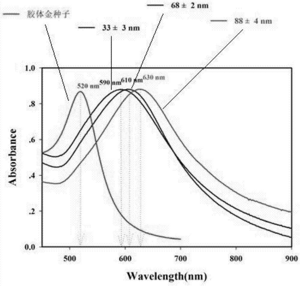 Preparing method of multi-branch colloidal gold nano particles with controllable grain diameter and high light absorbing intensity