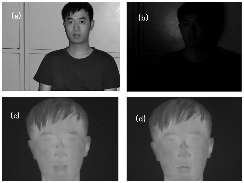 Thermal infrared face recognition method and system