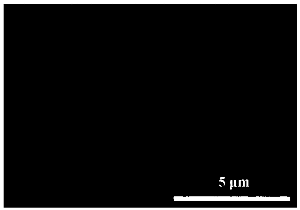 Macroscopic ordered body of silicon carbide nanowires and preparation method thereof