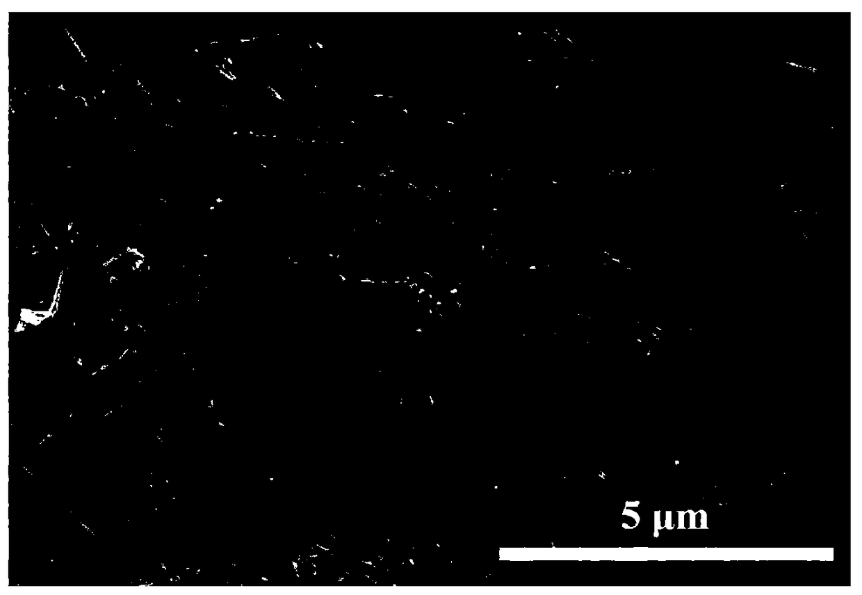 Macroscopic ordered body of silicon carbide nanowires and preparation method thereof