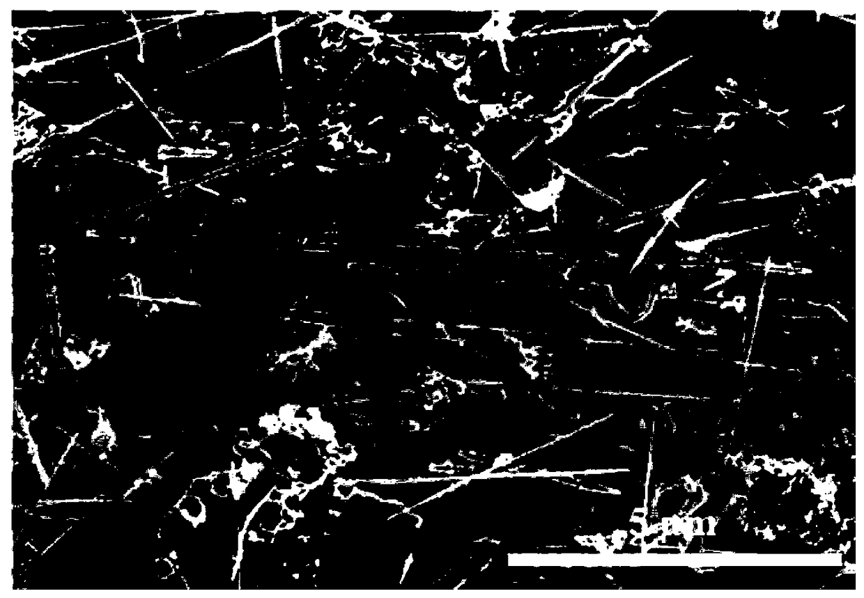 Macroscopic ordered body of silicon carbide nanowires and preparation method thereof