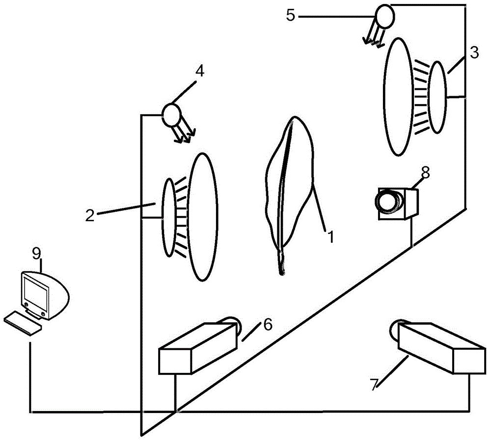 Feather defect detection system and method