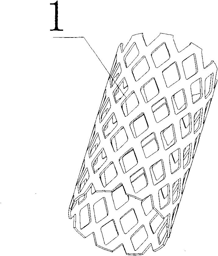 Selective laser melting (SLM) molding method for magnesium alloy stent