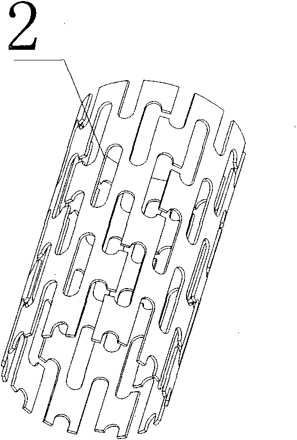 Selective laser melting (SLM) molding method for magnesium alloy stent