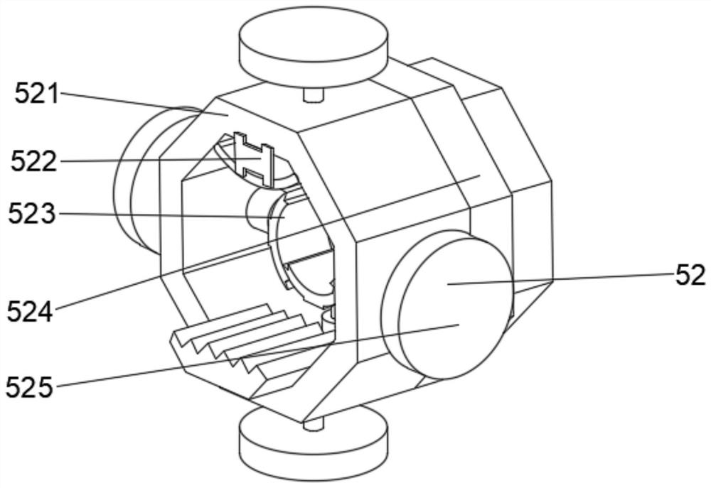 Paint spraying device for new energy automobile parts