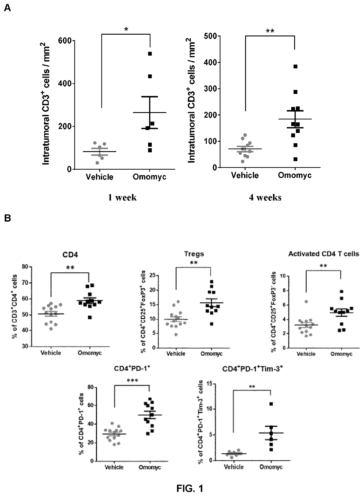 Combination therapy with omomyc and an antibody binding pd-1 or ctla-4 for the treatment of cancer