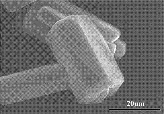 Biomedical alpha-Ca (HPO4) x (SO4)1-x*1/2H2O solid solution particle and preparation method thereof