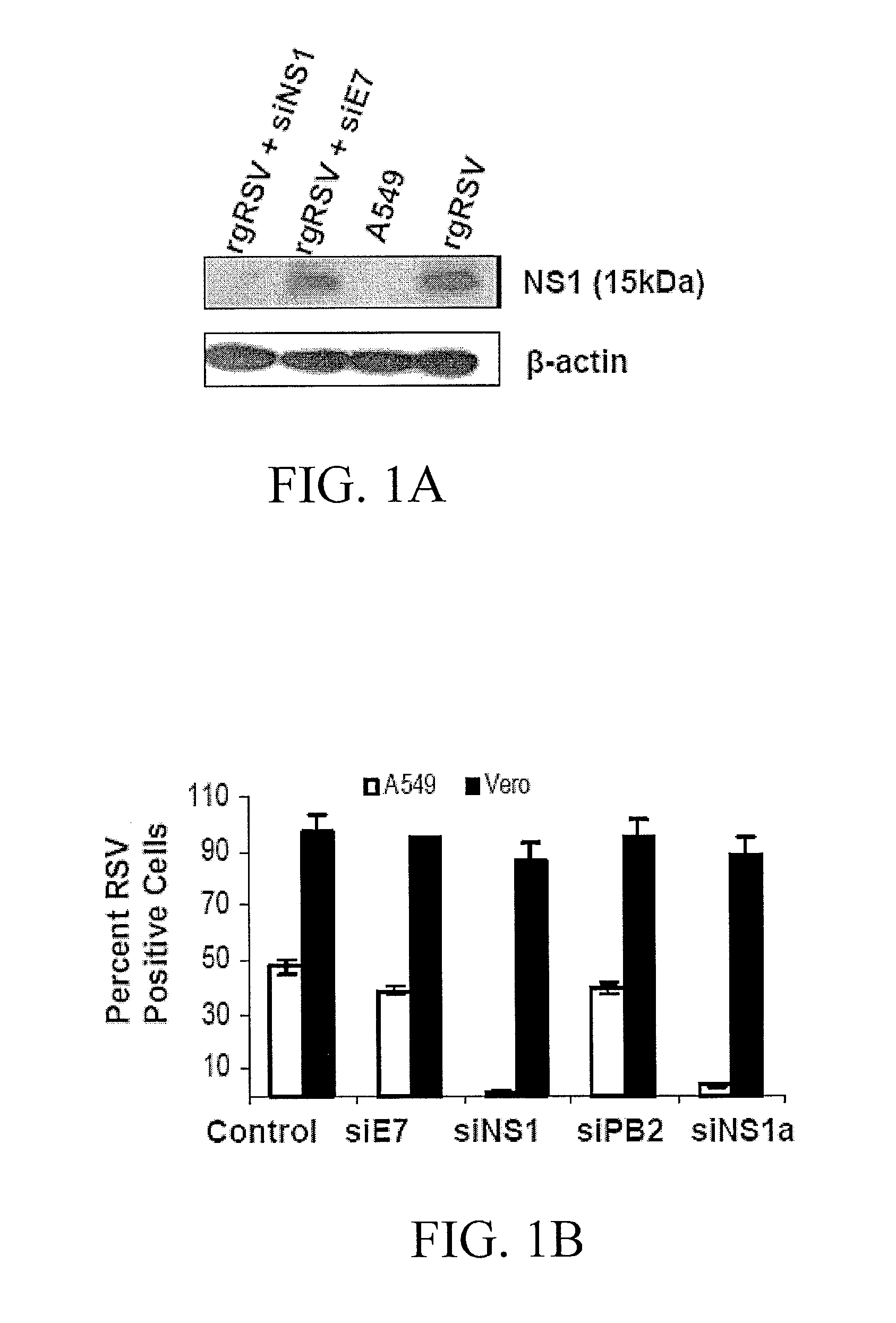 Polynucleotides for reducing respiratory syncytial virus gene expression