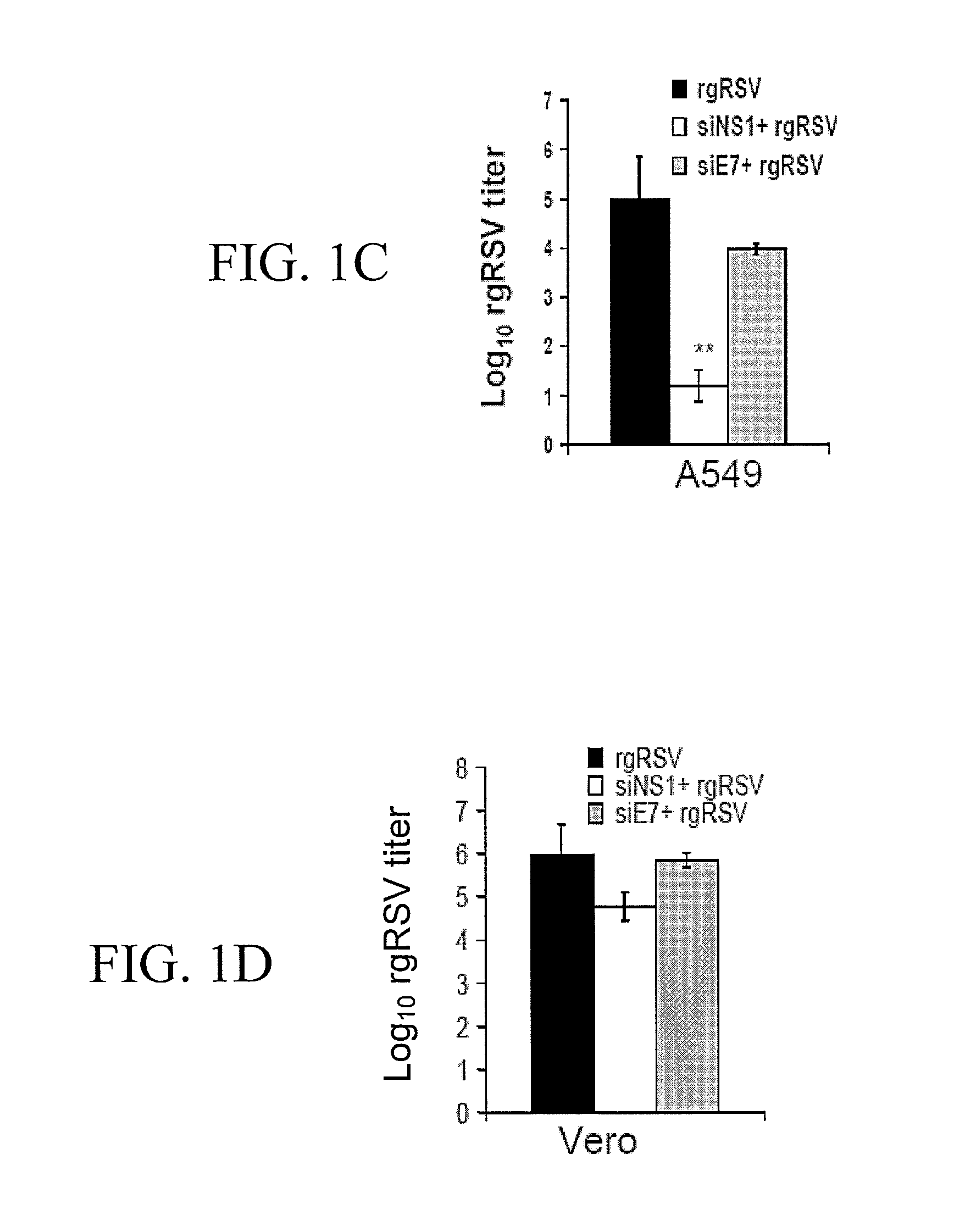 Polynucleotides for reducing respiratory syncytial virus gene expression