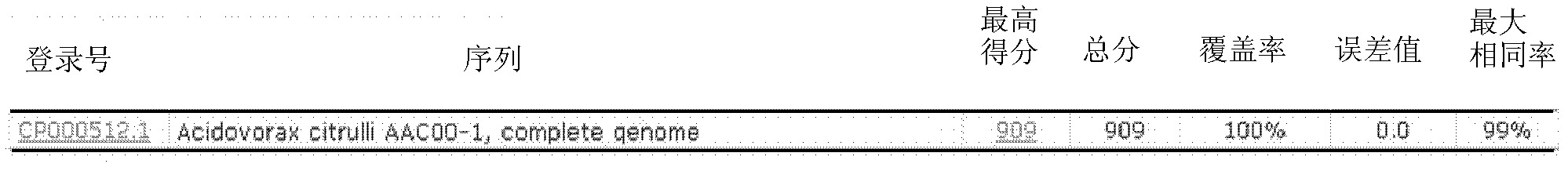 PCR method for specific detection of watermelon acidovorax citrulli