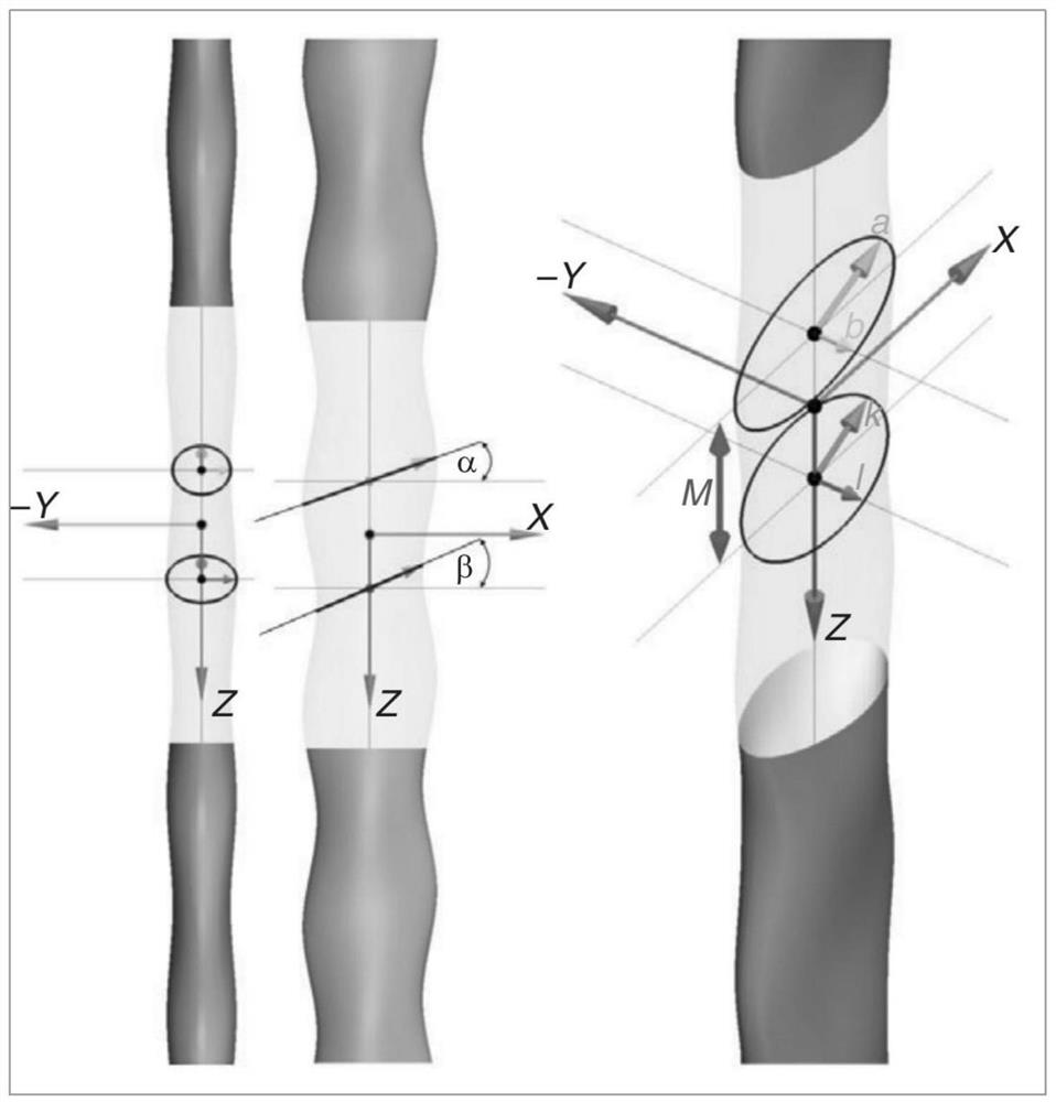 Flexible seal beard-imitated underwater flow field sensor and preparation method thereof