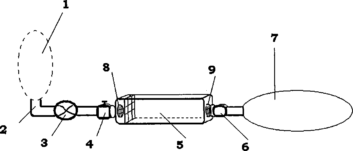 Experimental device and method for gas on-site exposure to toxicant