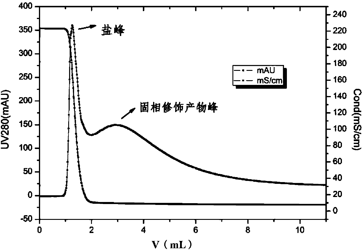 Modification method of polyethyleneglycol of protein