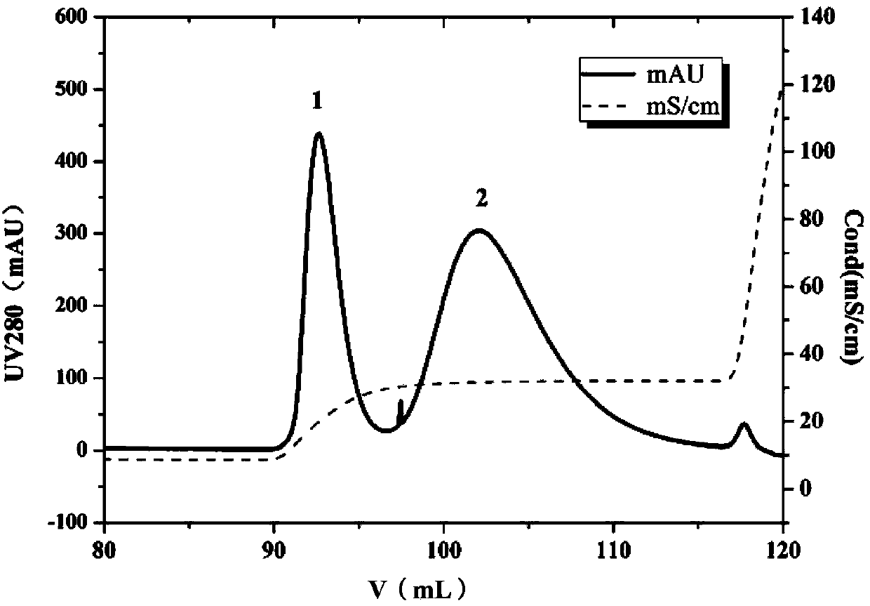 Modification method of polyethyleneglycol of protein