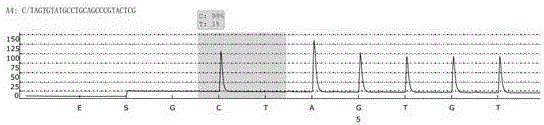 Primer pair and kit for detecting ALDH2 (Aldehyde Dehydrogenase 2) genotype with pyrosequencing method